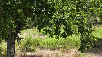 Off water 1.85 acre lot in Gated Subdivision on Lake Halbert. - photo 31