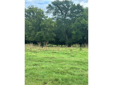 (private lake, pond, coastal) Acreage For Sale in Boyd Texas