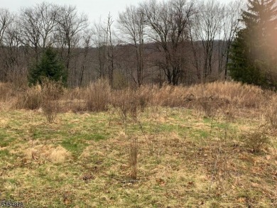 Culver Lake Acreage Sale Pending in Frankford Twp. New Jersey