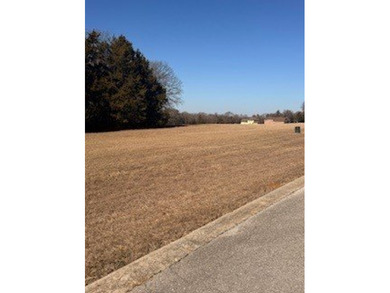 Beautiful and exceptional resort community lot located in the - photo 11