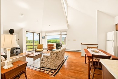 One-of-a-kind Estate on Canandaigua Lake! Only lakefront - photo 29