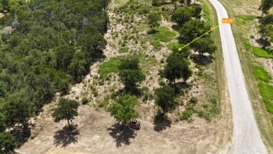 Off water 1.85 acre lot in Gated Subdivision on Lake Halbert. - photo 12
