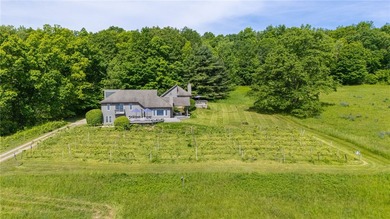 One-of-a-kind Estate on Canandaigua Lake! Only lakefront - photo 43