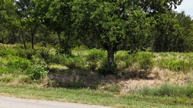 Off water 1.85 acre lot in Gated Subdivision on Lake Halbert. - photo 26