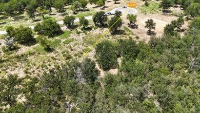Off water 1.85 acre lot in Gated Subdivision on Lake Halbert. - photo 18
