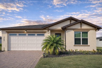 Buck Lake - Osceola County Home For Sale in Harmony Florida
