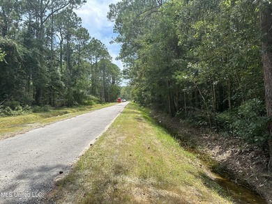X Flood Zone. You can build on the ground. water/sewer/gas - photo 1
