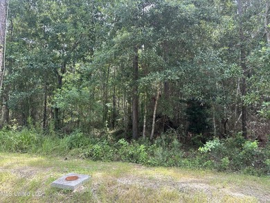 X Flood Zone. You can build on the ground. water/sewer/gas - photo 2