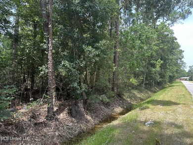 X Flood Zone. You can build on the ground. water/sewer/gas - photo 3