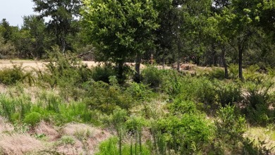 Off water 1.85 acre lot in Gated Subdivision on Lake Halbert. - photo 29