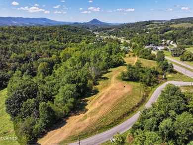 Clinch River Acreage For Sale in Cedar Bluff Virginia
