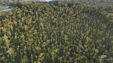 Discover a unique opportunity to own beautiful wooded acreage in - photo 12