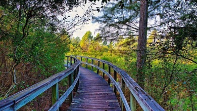 Build your coastal dream home in the beautiful St. James Bay - photo 16