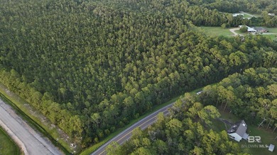 Discover a unique opportunity to own beautiful wooded acreage in - photo 17