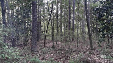 Discover a unique opportunity to own beautiful wooded acreage in - photo 23