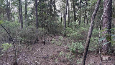Discover a unique opportunity to own beautiful wooded acreage in - photo 25