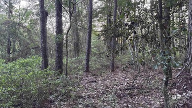 Discover a unique opportunity to own beautiful wooded acreage in - photo 27