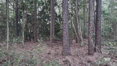Discover a unique opportunity to own beautiful wooded acreage in - photo 29