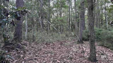 Discover a unique opportunity to own beautiful wooded acreage in - photo 33