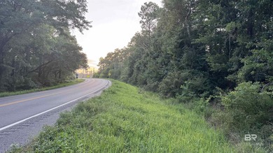 Discover a unique opportunity to own beautiful wooded acreage in - photo 34
