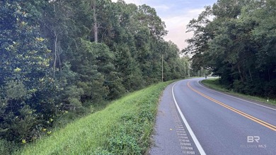 Discover a unique opportunity to own beautiful wooded acreage in - photo 36