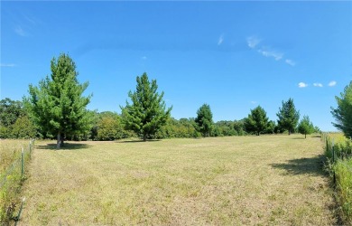 Lake Lot For Sale in Moran Twp, Minnesota