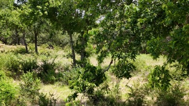 Off water 1.85 acre lot in Gated Subdivision on Lake Halbert. - photo 30