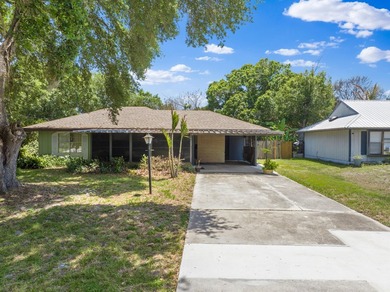 This inviting 2-bedroom, 2-bath Lakewood Park home blends - photo 30