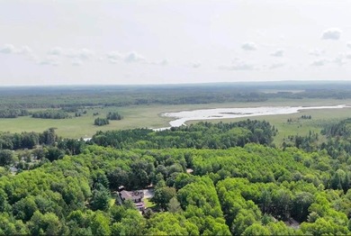 Lake St Helen Home For Sale in Saint Helen Michigan