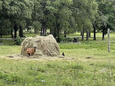 You will love everything about this approx 7 acres (per court - photo 48