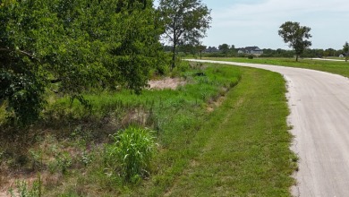 Off water 1.85 acre lot in Gated Subdivision on Lake Halbert. - photo 28