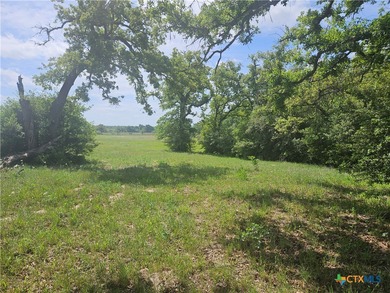 (private lake, pond, creek) Acreage For Sale in Milano Texas
