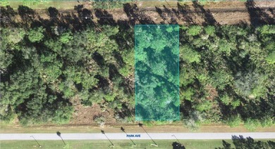 Lake Weohyakapka Lot Sale Pending in Indian Lake Estates Florida