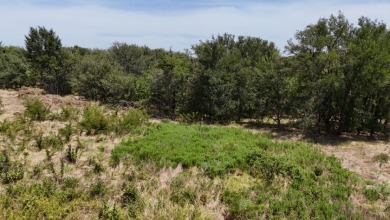Off water 1.85 acre lot in Gated Subdivision on Lake Halbert. - photo 23