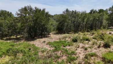 Off water 1.85 acre lot in Gated Subdivision on Lake Halbert. - photo 22