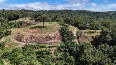Lake Lot For Sale in Ostional,