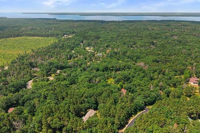 Move-in ready 3-bed, 3-bath ranch on a private, heavily wooded 1 - photo 47