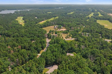 Move-in ready 3-bed, 3-bath ranch on a private, heavily wooded 1 - photo 49