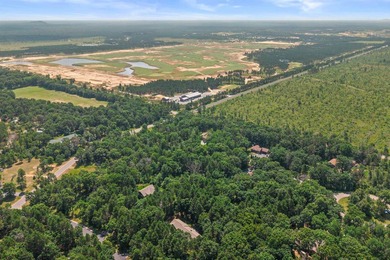 Move-in ready 3-bed, 3-bath ranch on a private, heavily wooded 1 - photo 50