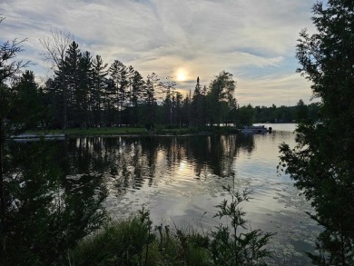 Icehouse Lake Lot Active Under Contract in Harrison Michigan