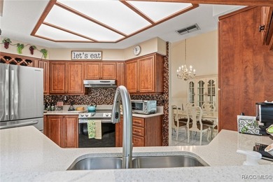 Welcome to 4 Ipomoea Court in beautiful Sugarmill Woods! This - photo 13