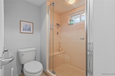 Welcome to 4 Ipomoea Court in beautiful Sugarmill Woods! This - photo 25