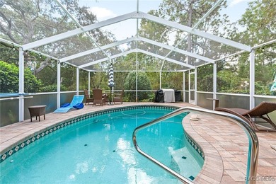 Welcome to 4 Ipomoea Court in beautiful Sugarmill Woods! This - photo 32
