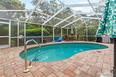 Welcome to 4 Ipomoea Court in beautiful Sugarmill Woods! This - photo 34