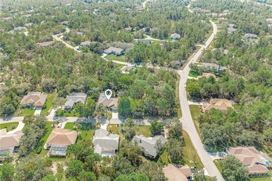 Welcome to 4 Ipomoea Court in beautiful Sugarmill Woods! This - photo 37