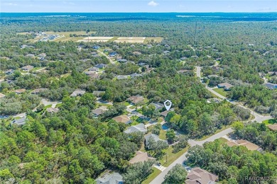 Welcome to 4 Ipomoea Court in beautiful Sugarmill Woods! This - photo 39