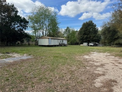 Bowers Lake Home For Sale in Ocklawaha Florida