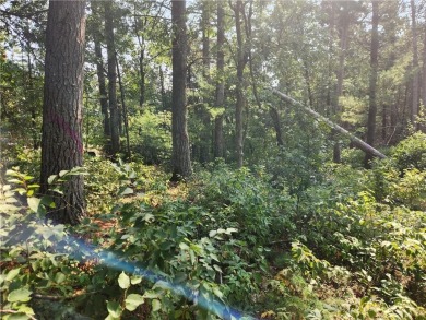 Lee Lake - Jackson County Lot Sale Pending in Black River Falls Wisconsin