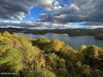 Unbelievable Santeetlah Lake location If you are looking for the - photo 2