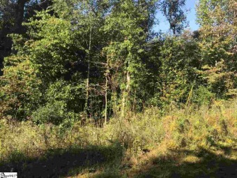 Lake Hartwell Lot For Sale in Fair Play South Carolina